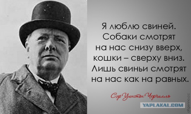 30 дерзких и мудрых цитат Уинстона Черчилля.