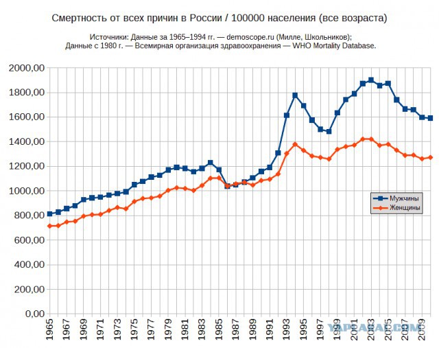 Девочка, Путин и тренажер