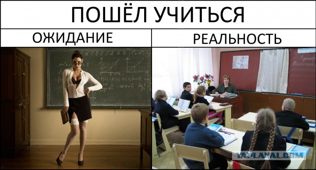 В США судят ЕЩЕ одну учительницу за секс