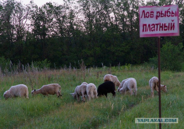 Деревня