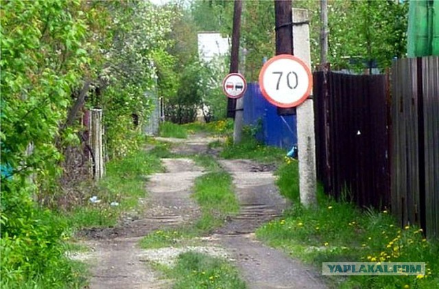 Картинки из инета