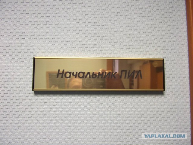Когда фамилия и профессия созданы друг для друга