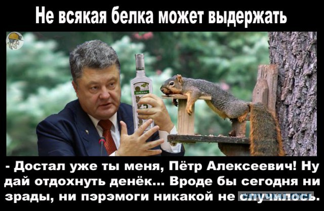 10 интересных фактов о белках