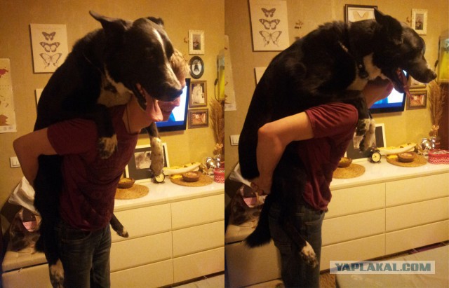 Я устал, возьми меня на ручки