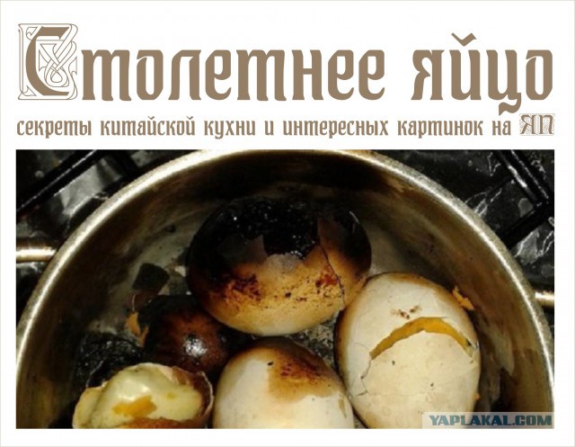 Картинки, интересные и веселые