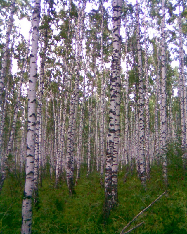 Если хороший фотоаппарат, то ты крутой! ЭТО НЕПРАВДА!