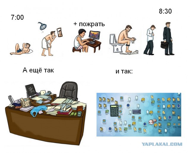 Мужчины vs. женщины: главные отличия