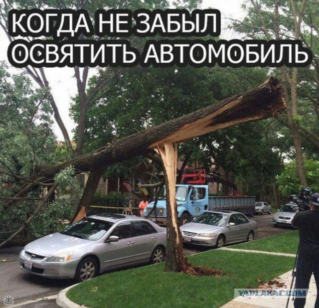 Подборка интересных и веселых картинок