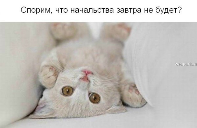 Суббота - рабский день!