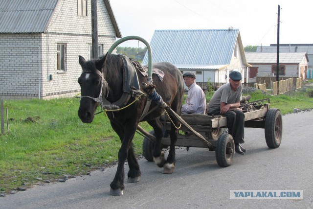 Львовского автобусного завода больше не существует