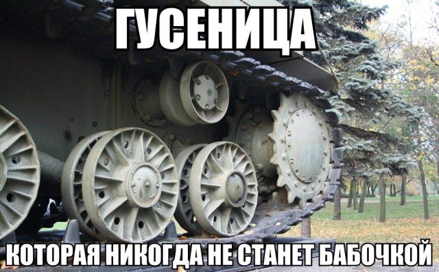 Гусеницы и бабочки. До и после
