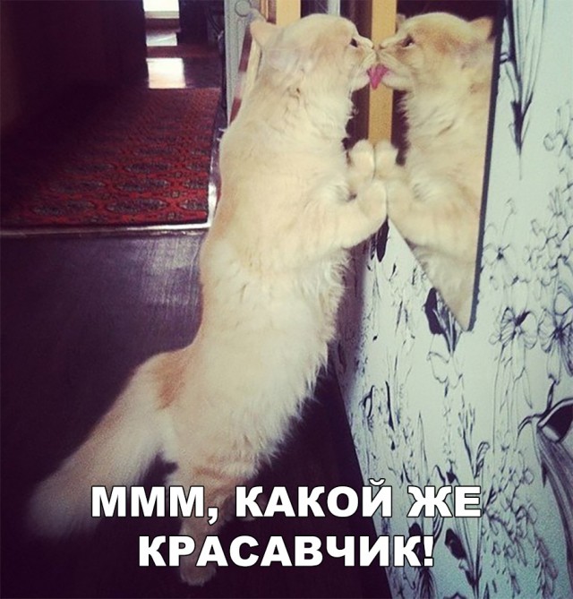 Немного милоты