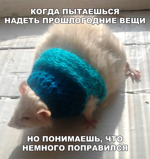 Нестандартный юмор