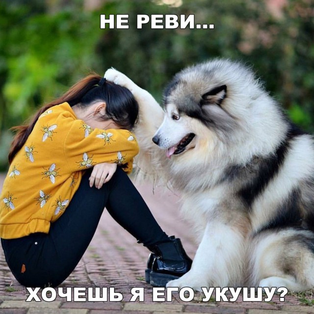 Прикольные картинки абавсём