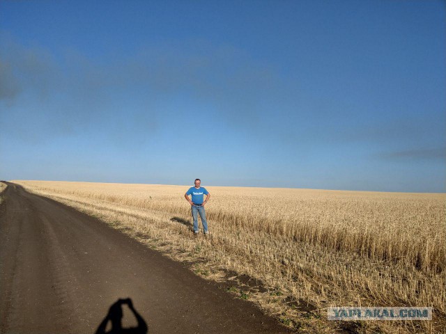 Замучила коррупция