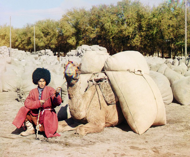 История в фотографиях - II