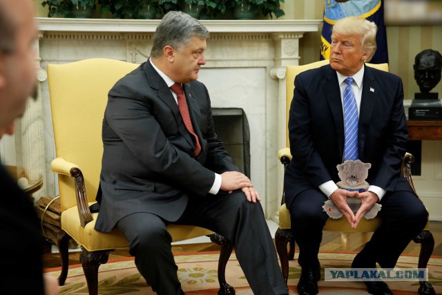 Внучки Трампа провели лето 2018 года в Артеке