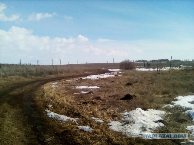 Весной в деревне