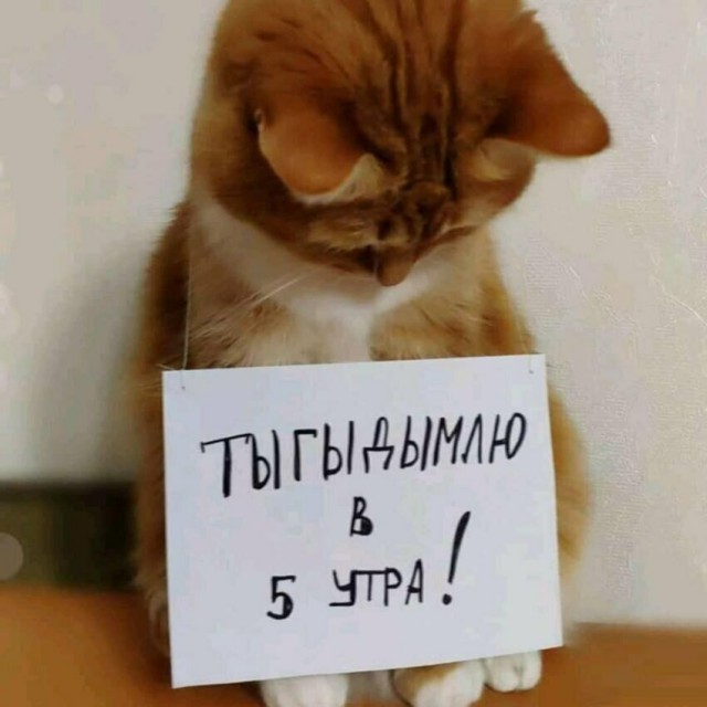 Подборка интересных и веселых картинок 08.04.19