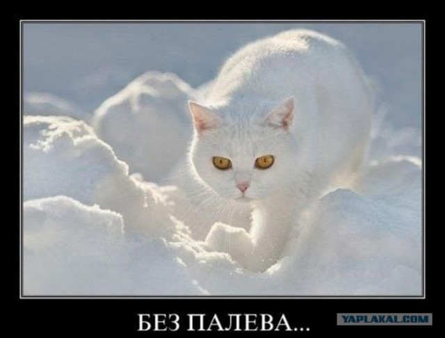 Аватары на заказ