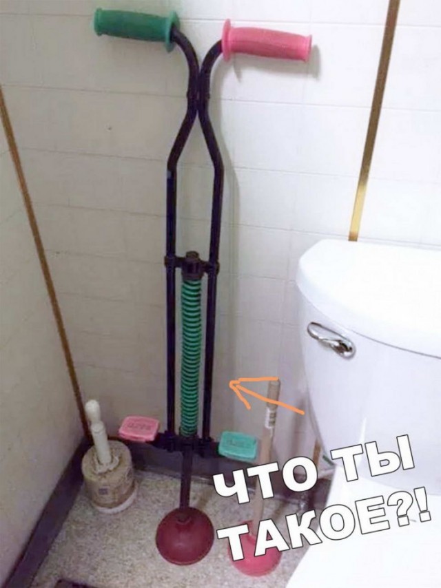 Бредзона из картинок