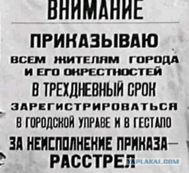 Работа полиции