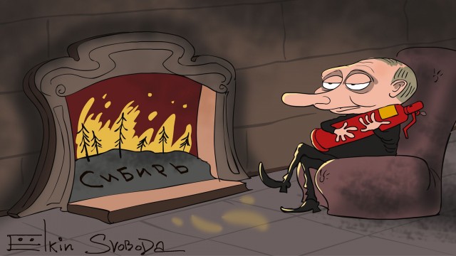 С*ки, где вы есть?!": забайкальский мужик, тушивший лес, обратился к МЧС