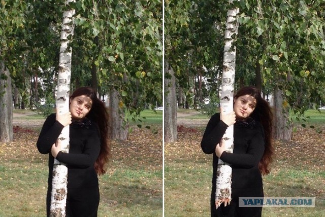 Фотошоп