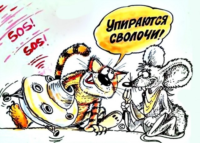 С котопятницей! Улыбнемся?