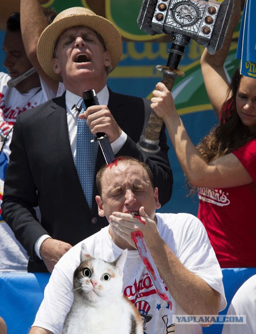 Фотожаба: Двадцатьдевятый хотдог