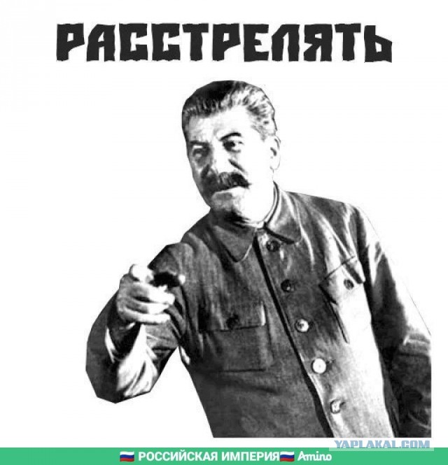 Сенатору не нужны бомжовые люди