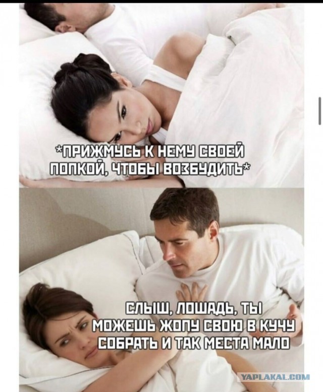 Весёлый полтишок 10.03