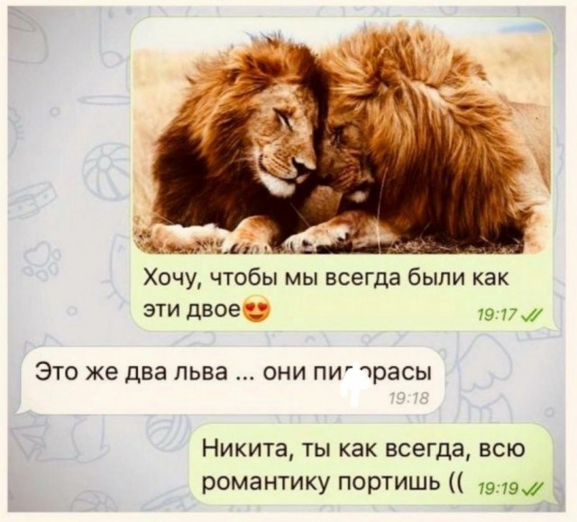 Мадам и месье бонжур