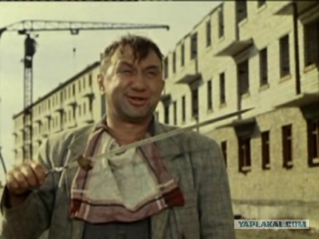 Наглая чайка не на того нарвалась