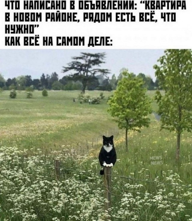 Картинки и мемы, всем прекрасных выходных
