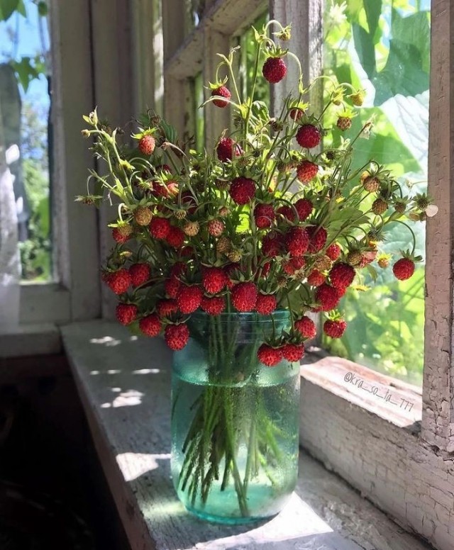 Сам себя считаю