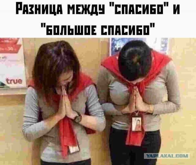 Как выглядит БОЛЬШОЕ спасибо!