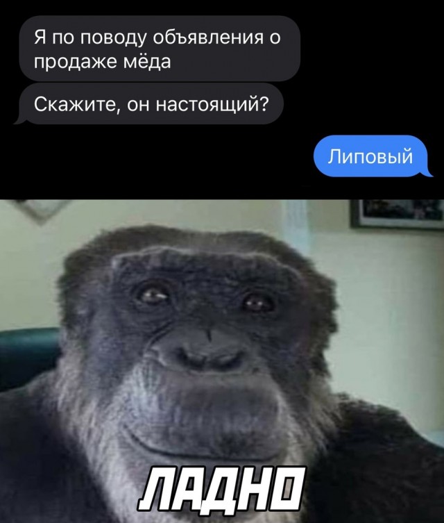 Картинки обо всём 04.02.22