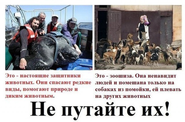 Зоошиза, гореть вам в аду!