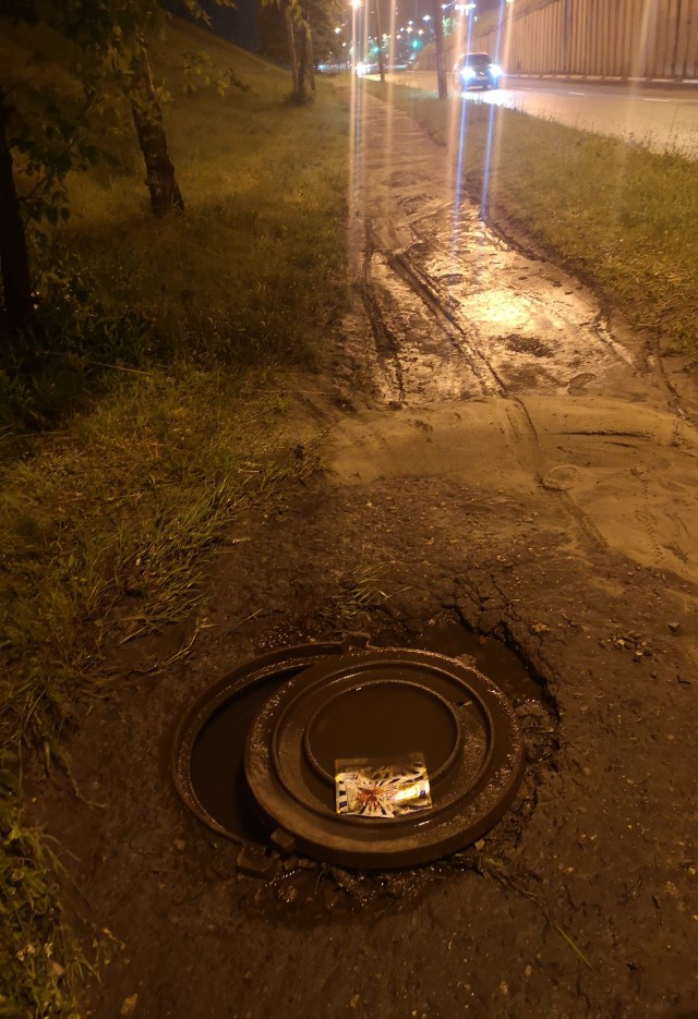 Не Венеция, а Воронеж