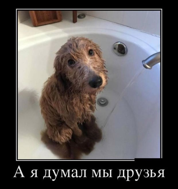 Картинки с надписями 28.07.22