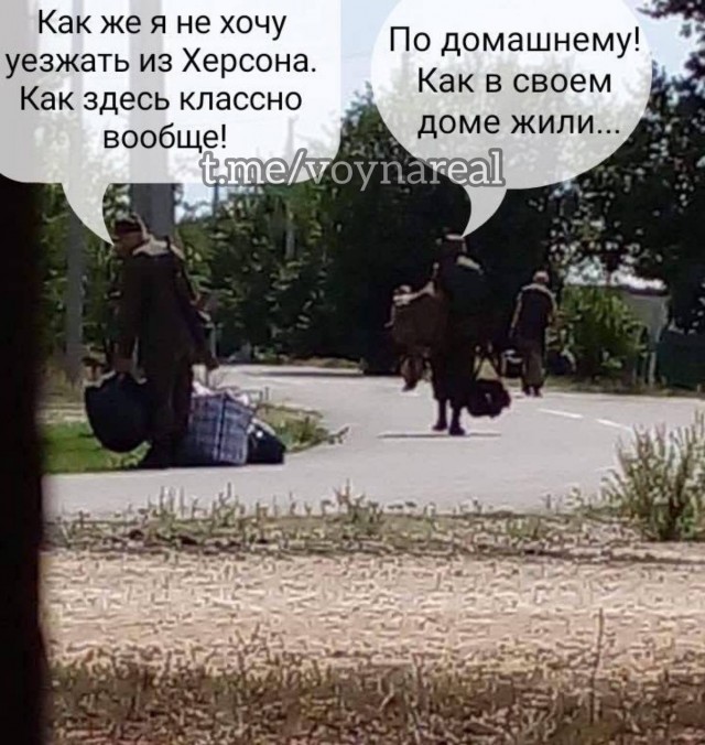 Нефартануло. МО России: ВСУ потеряли 560 человек при попытке наступления, предпринятой по указанию Зеленского