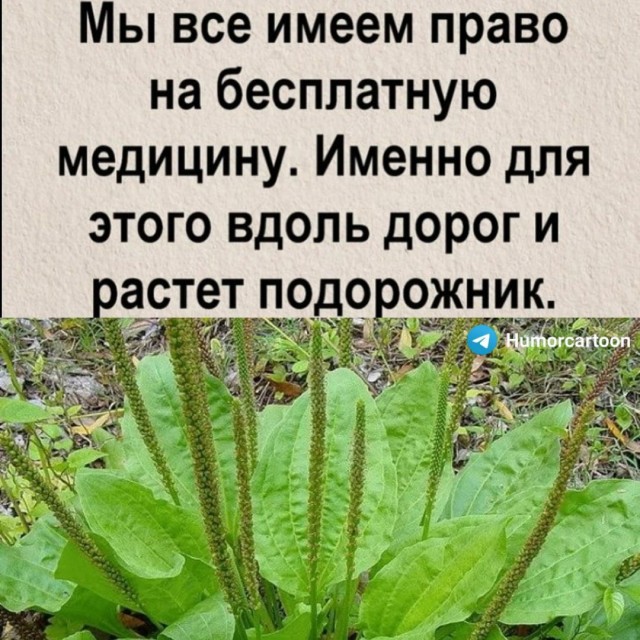 Про наше здравоохранение