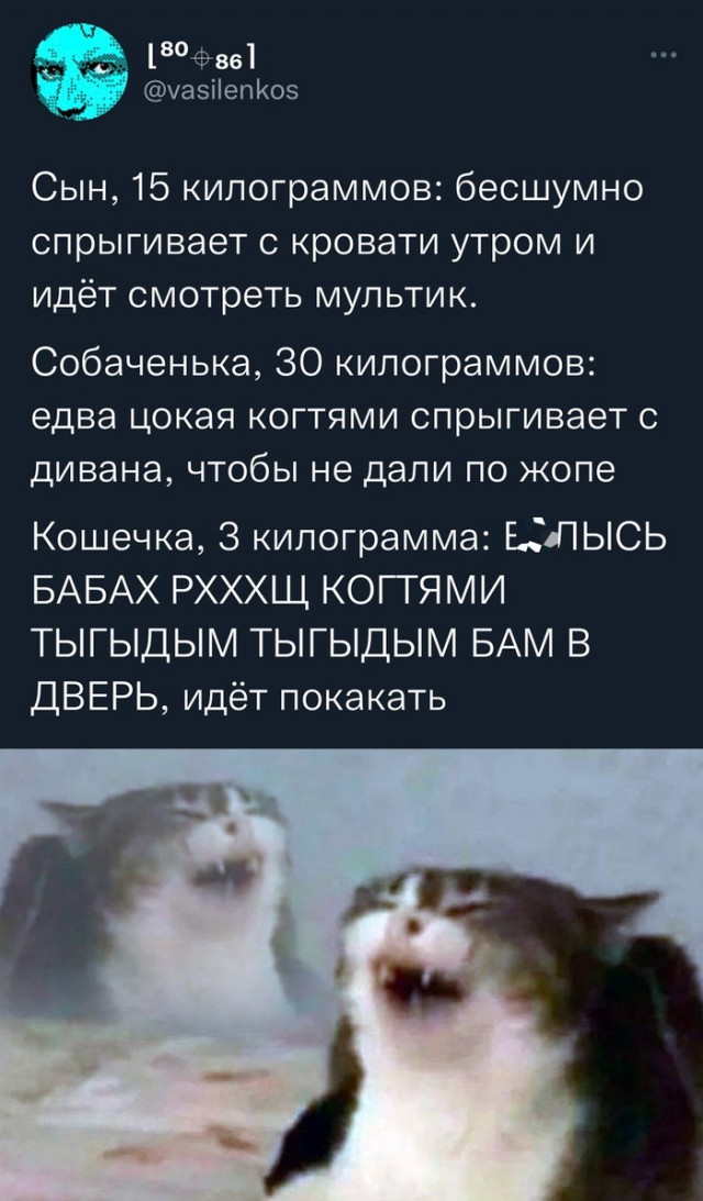 Мемы 5 января 2025 года