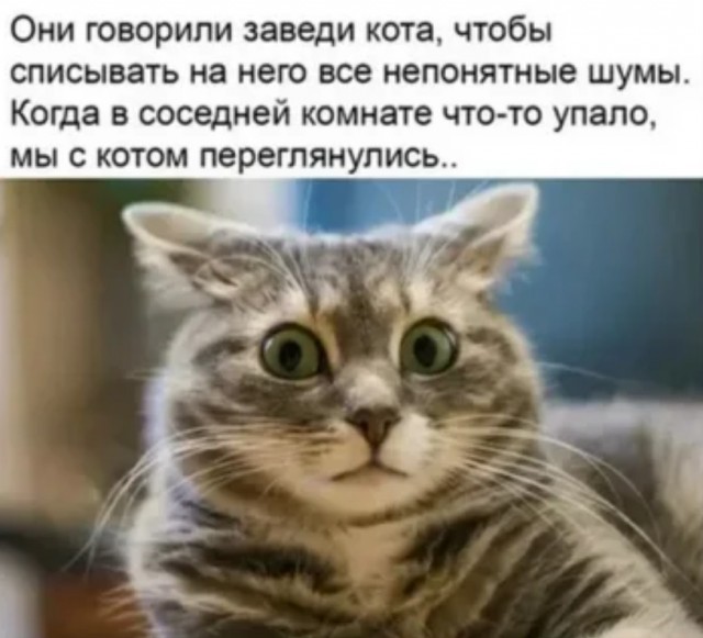 Жутковатые случаи которым не нашлось объяснения