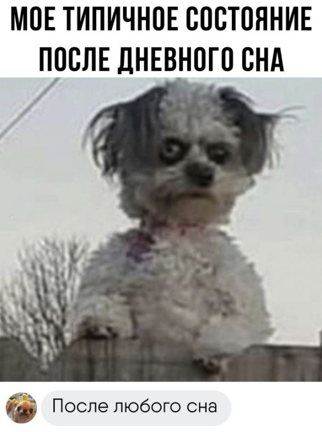 Картинки и мемы, всяко разно - 171