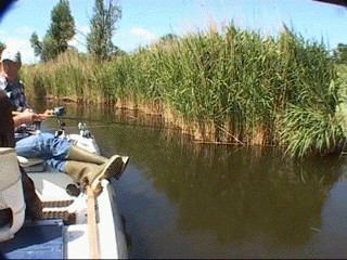 Приехала с мужем на рыбалку