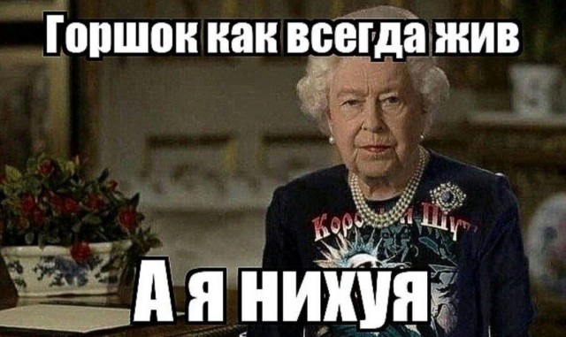 Миша спасибо за все