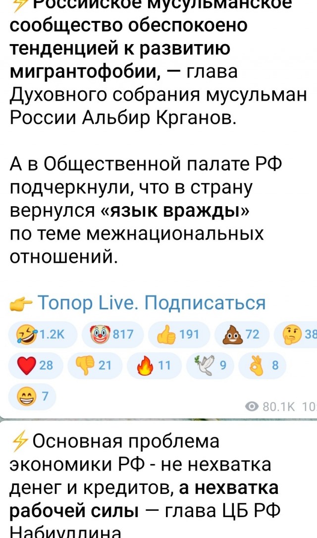 Мусульмане России обеспокоены мигрантофобией