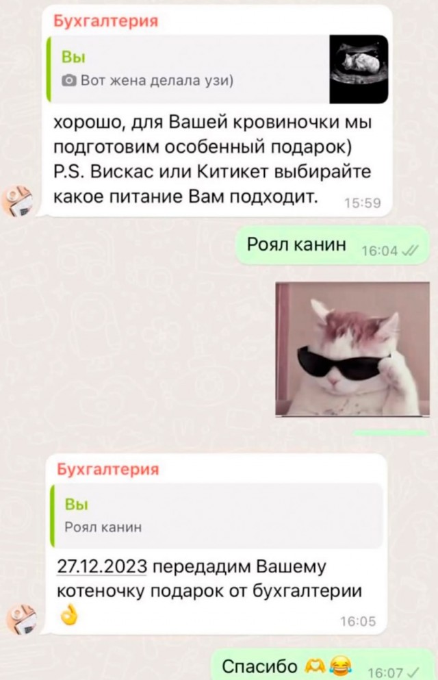 Кошатники, берем на заметку